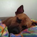 Shannon Settles - @Clockerstein - Twitter