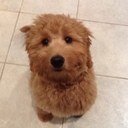 paddlegod's profile picture. 