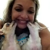 🦋Dafne Trindade🦋 (@dafnetrindade) 's Twitter Profile