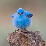I occasionally post things. I mainly retweet though. I'm boring like that