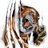 kattklowz's profile image