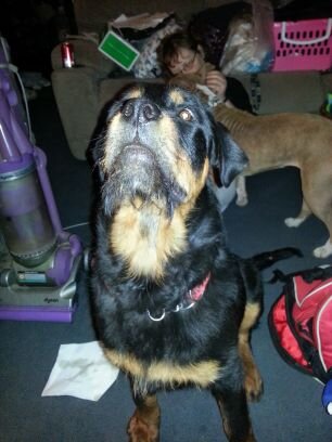 biggyrossi's profile picture. 