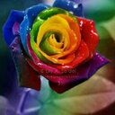 Mila Henry - @milahenry77 - Twitter