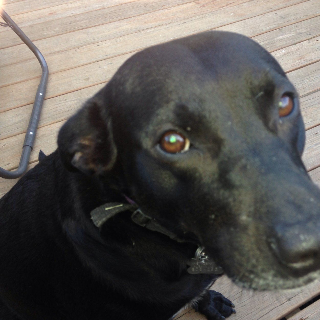 BarbaraHendersh's profile picture. 