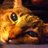 fortevanessa's profile image