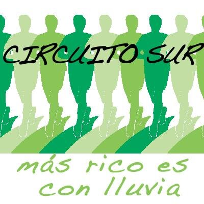 circuito_sur Profile Picture