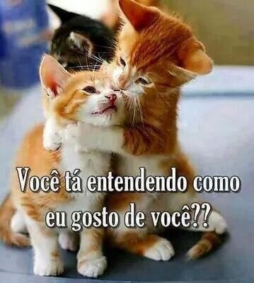 me segue que eu sigo de volta... operação tim beta lab