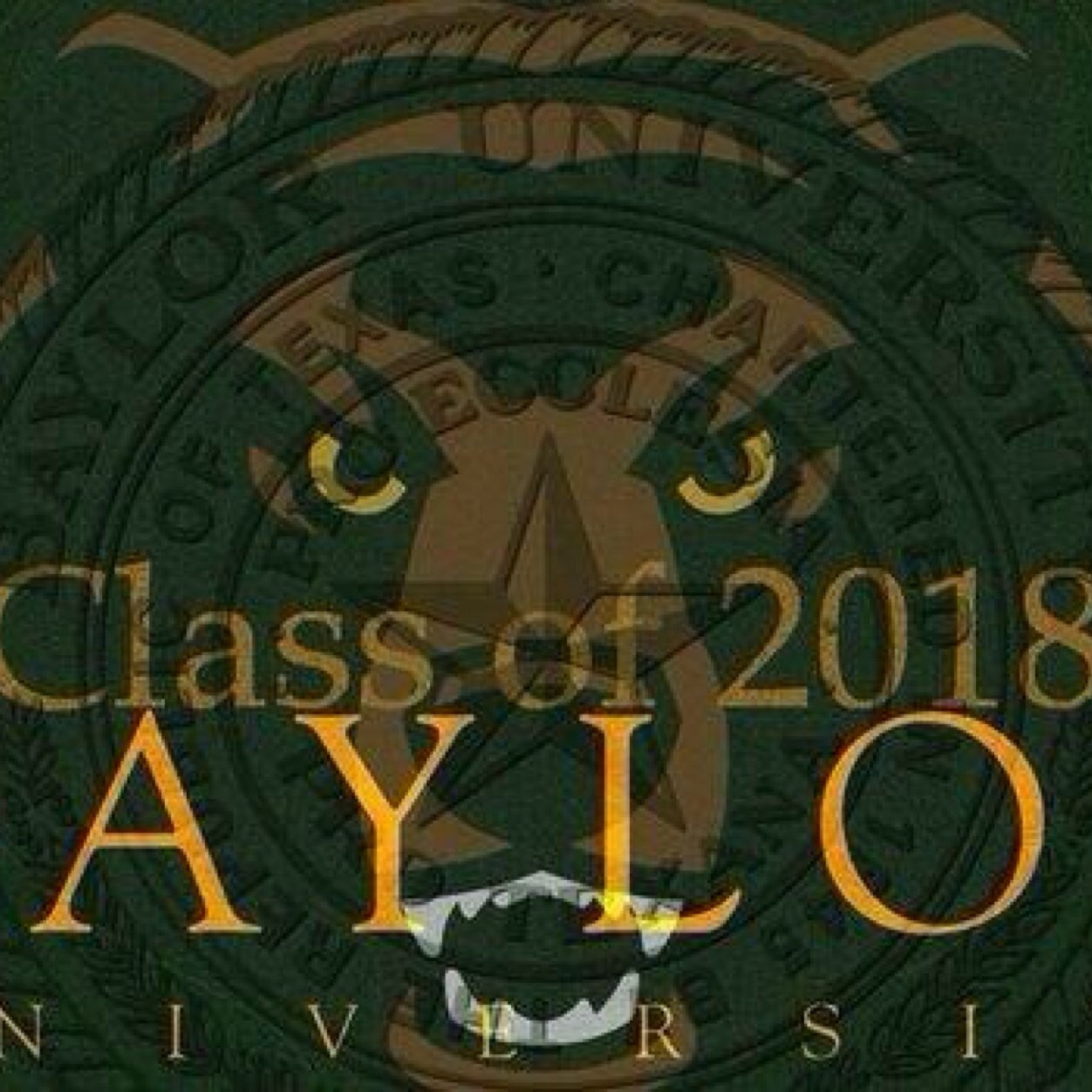 BaylorHotties's profile picture. Informin' you about funny stuff around Baylor #SicemInc
