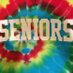 Stow Class of 2015 (@stow2015) Twitter profile photo