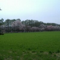 時の駅@サッカー垢 (@m3g7q) 's Twitter Profile Photo