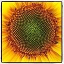 edelrider's profile picture. Photographer. http://t.co/tJMovoCX6L