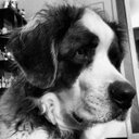 mldemorest's profile picture. mama, lawyer, wife, feminist.