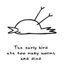 iamboring's profile picture. 