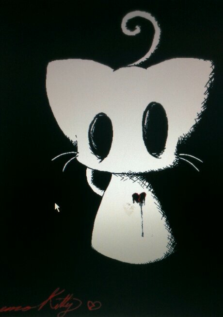 I'm not socially awkward I just really love cats !