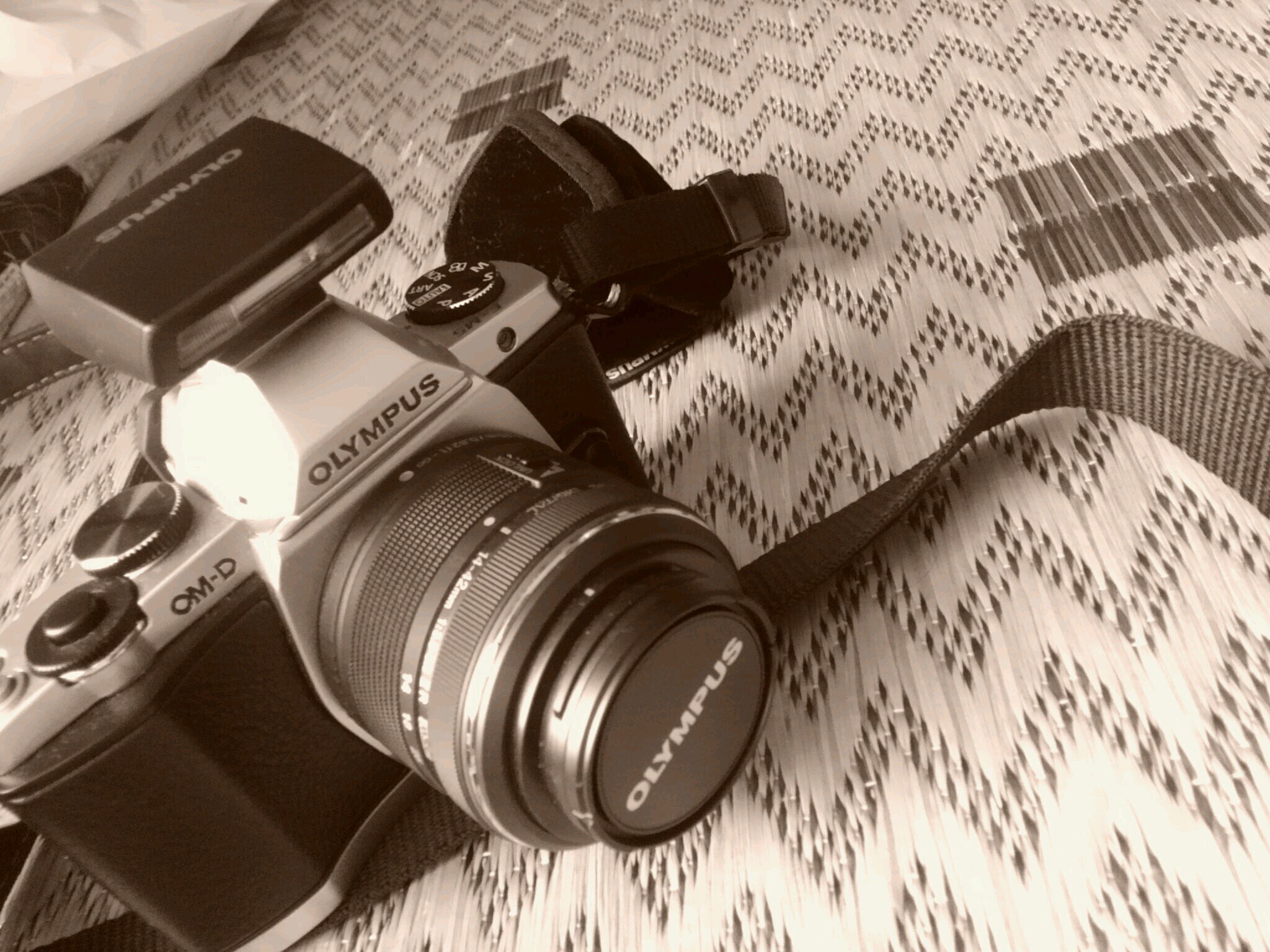 momo012031's profile picture. 