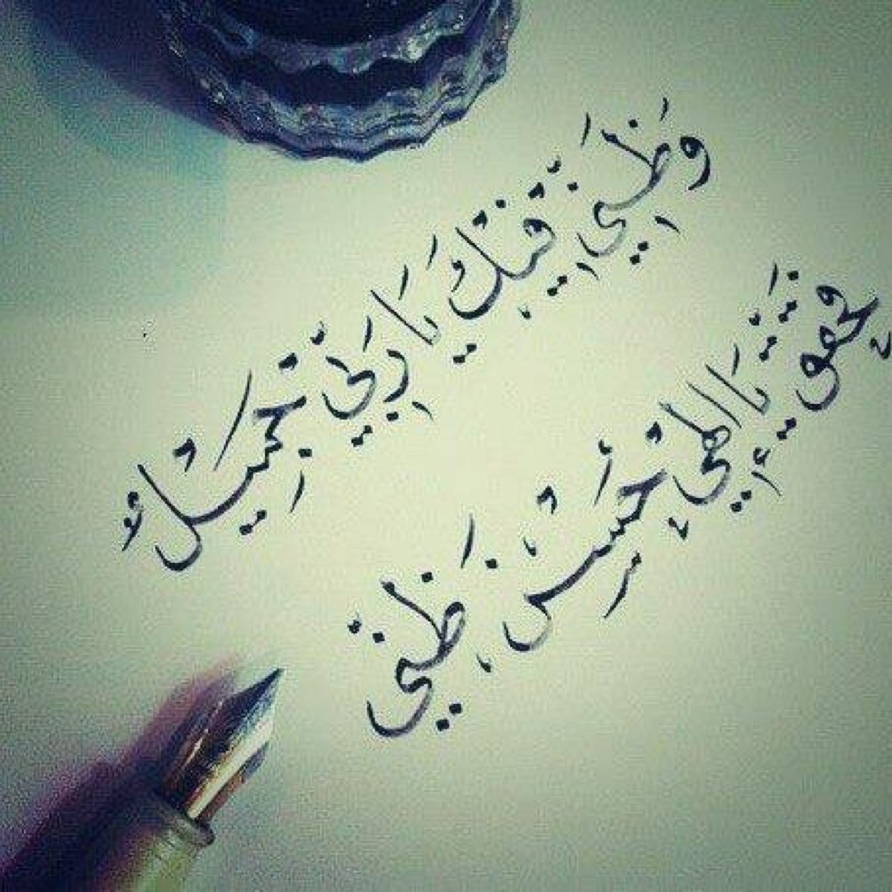 متفاآئلة أُقآوم كلَ مَتَاآعب الحَيْاآة بنْفسٍ راضيّة ، ردودي لاتعنيِ خضوعيّ بالقول ْ ، هناك خطوط حمراء لاأريد أحد تعديها