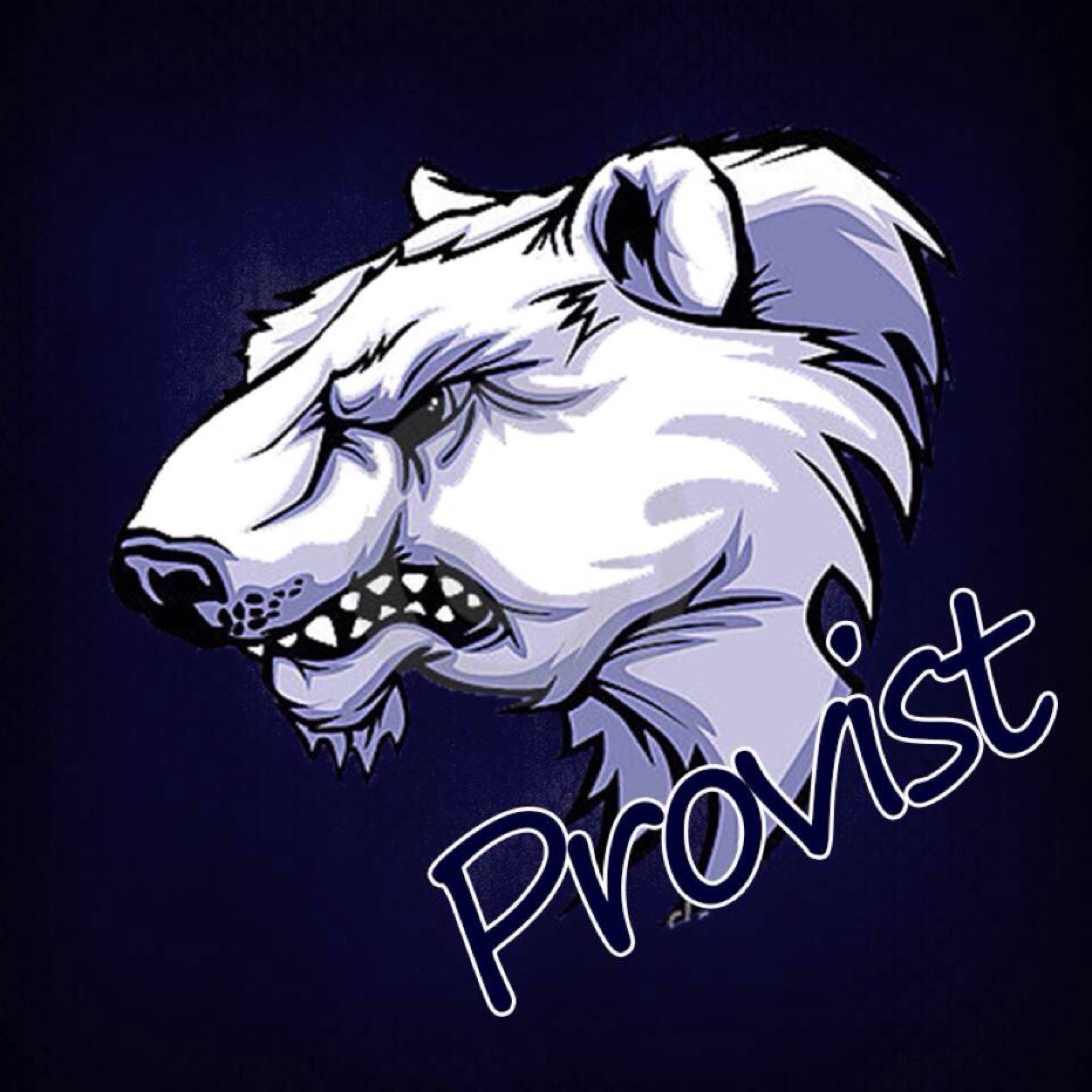 15 | competitive CoD player.