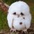 StockholmzD's profile image