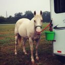 dora dawson  - @DoraDoradawson - Twitter