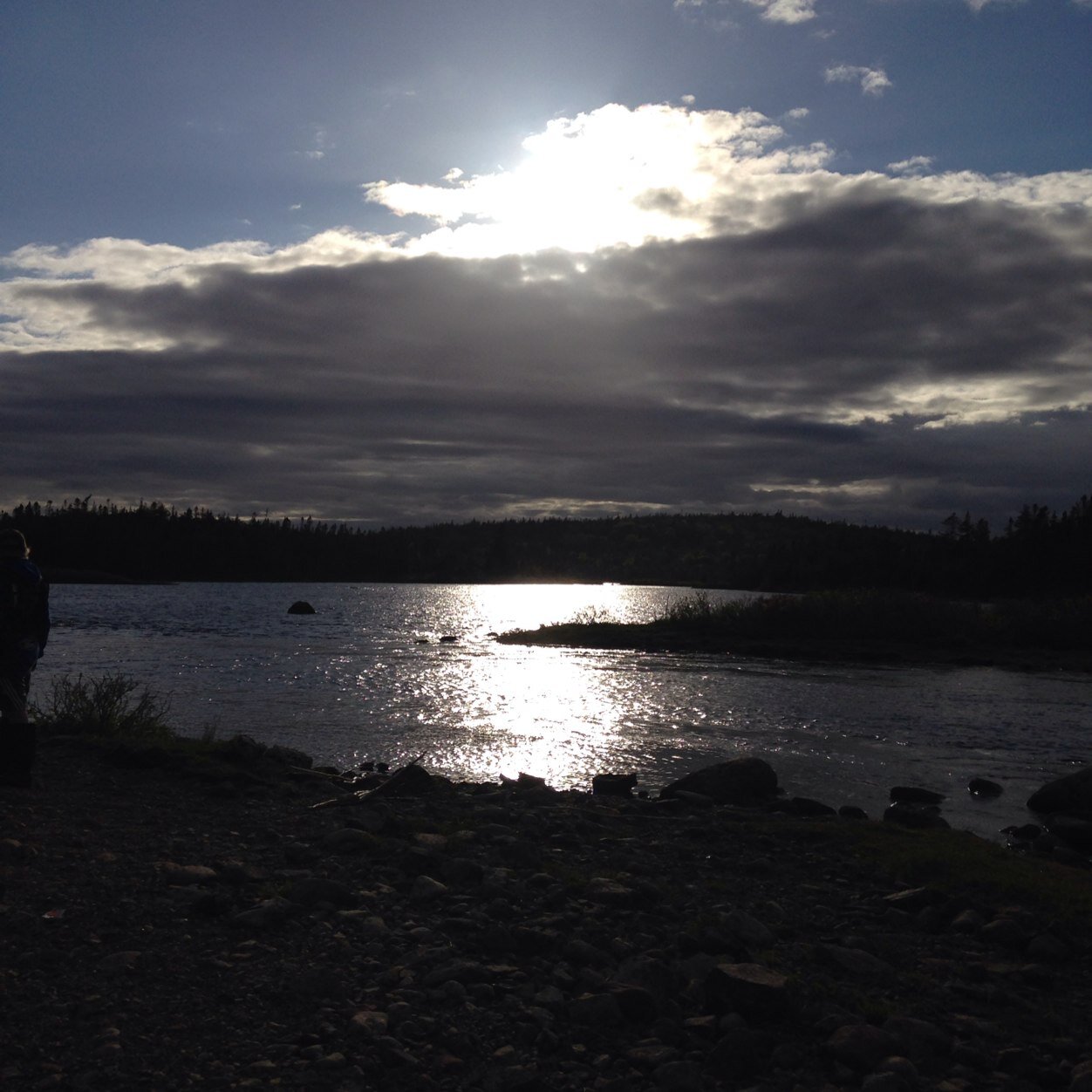 1Stapleton's profile picture. 