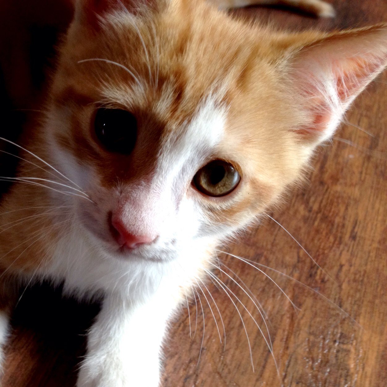 RobbinsMikayla's profile picture. 