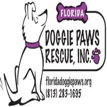 Florida Doggie Paws