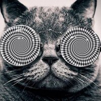 Devin (@splitsyourbitch) 's Twitter Profile
