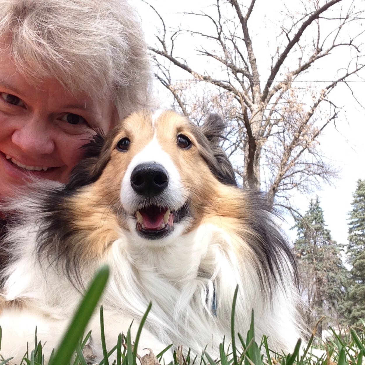 Hawaiianlau's profile picture. 