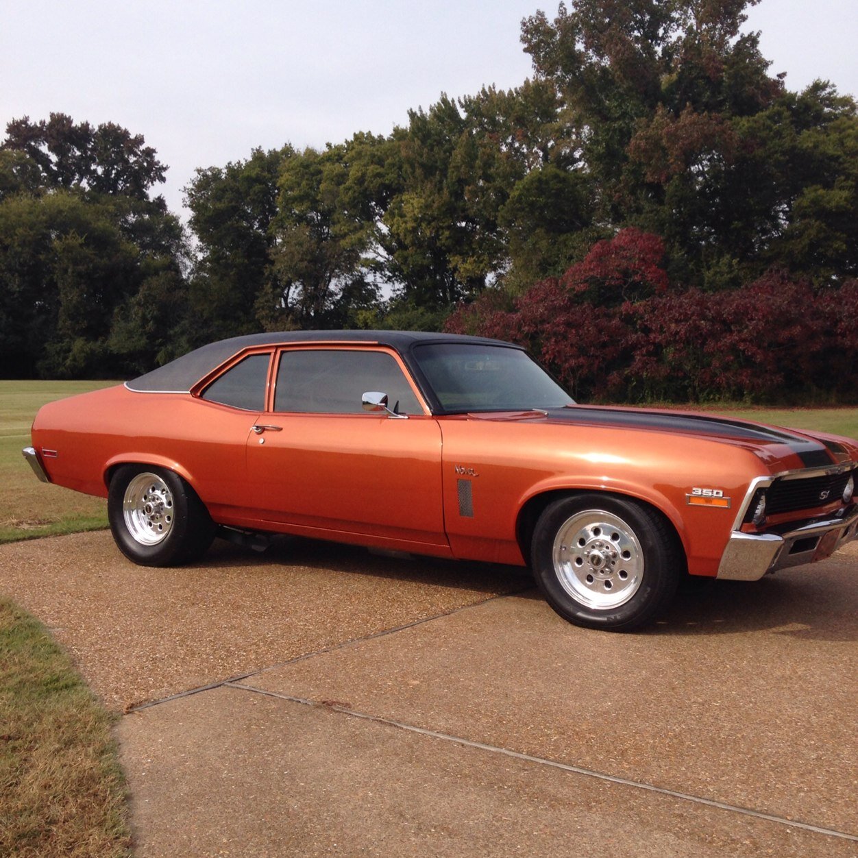 Tintmanscott's profile picture. 