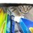 rtcochrane's profile image