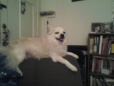 BBarbcolber2011's profile picture. 