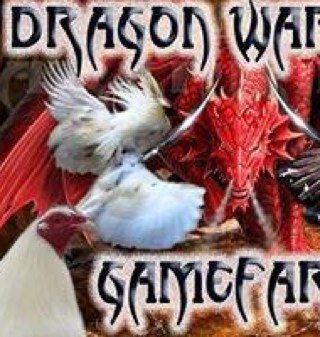 Dragon Warrior Gamefarm: We breed Champions. In Sabang, Lipa City, Batangas, Philippines.