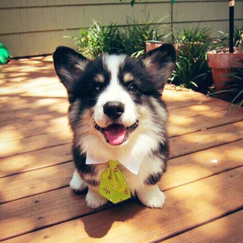 bgenkar's profile picture. When u get free please remember ur life