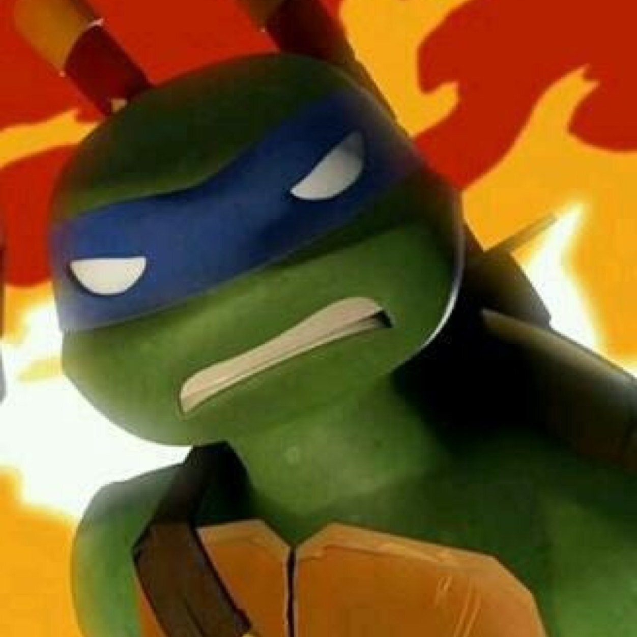 Hey my name is leonardo leader of my brothers i must always do what is required to finish my mission alone