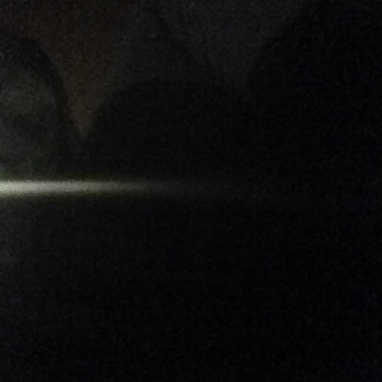 briannabounds's profile picture. 