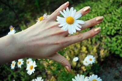 sweettree12341's profile picture. 