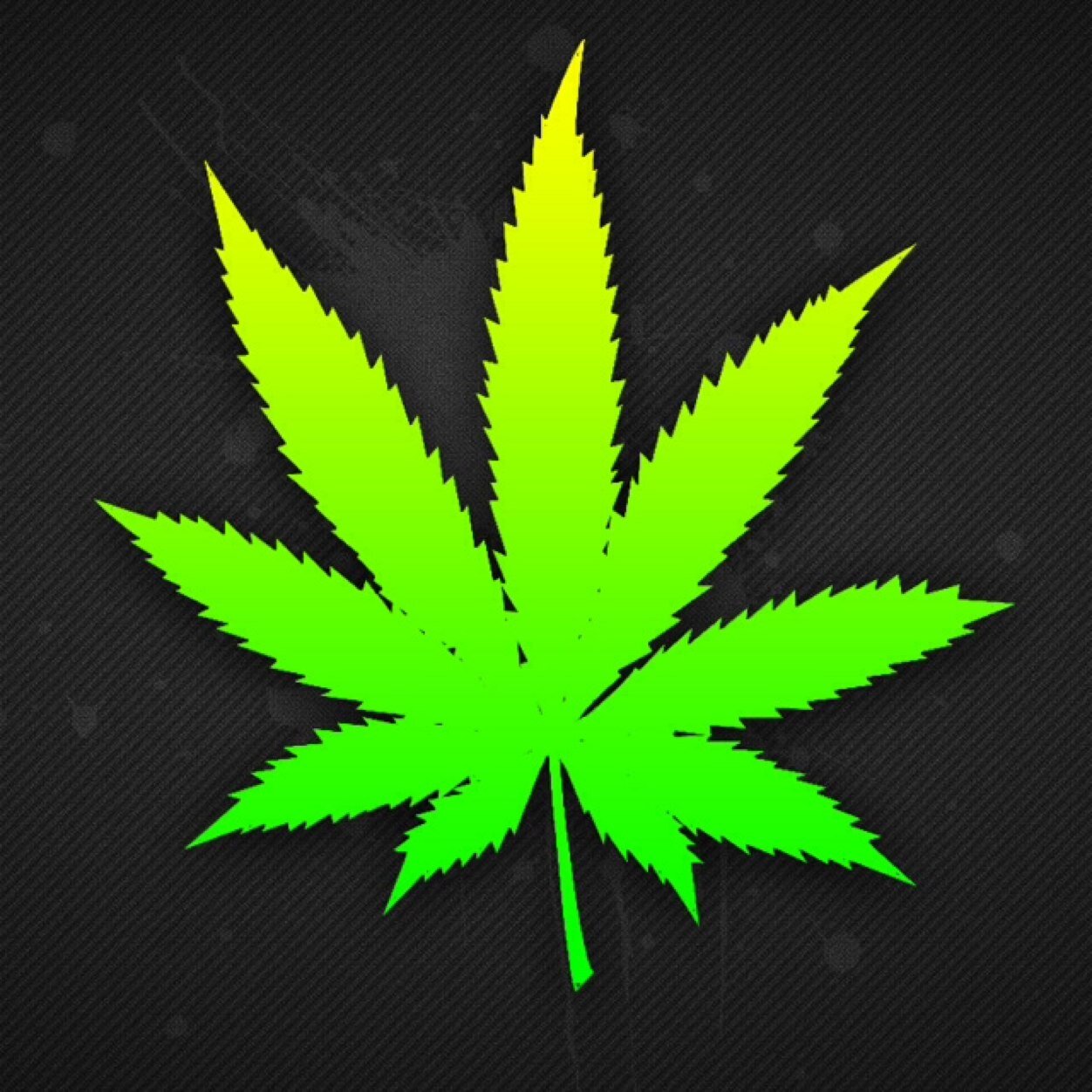 CallMeCody420's profile picture. The Names Cody , I Am Canadian ,Im a Beer Pong Trick Shotter,Love Football,Soccer⚽️and Hockey,Smoke Weed everyday4⃣2⃣0⃣™ Go Portugal, Austraila and France