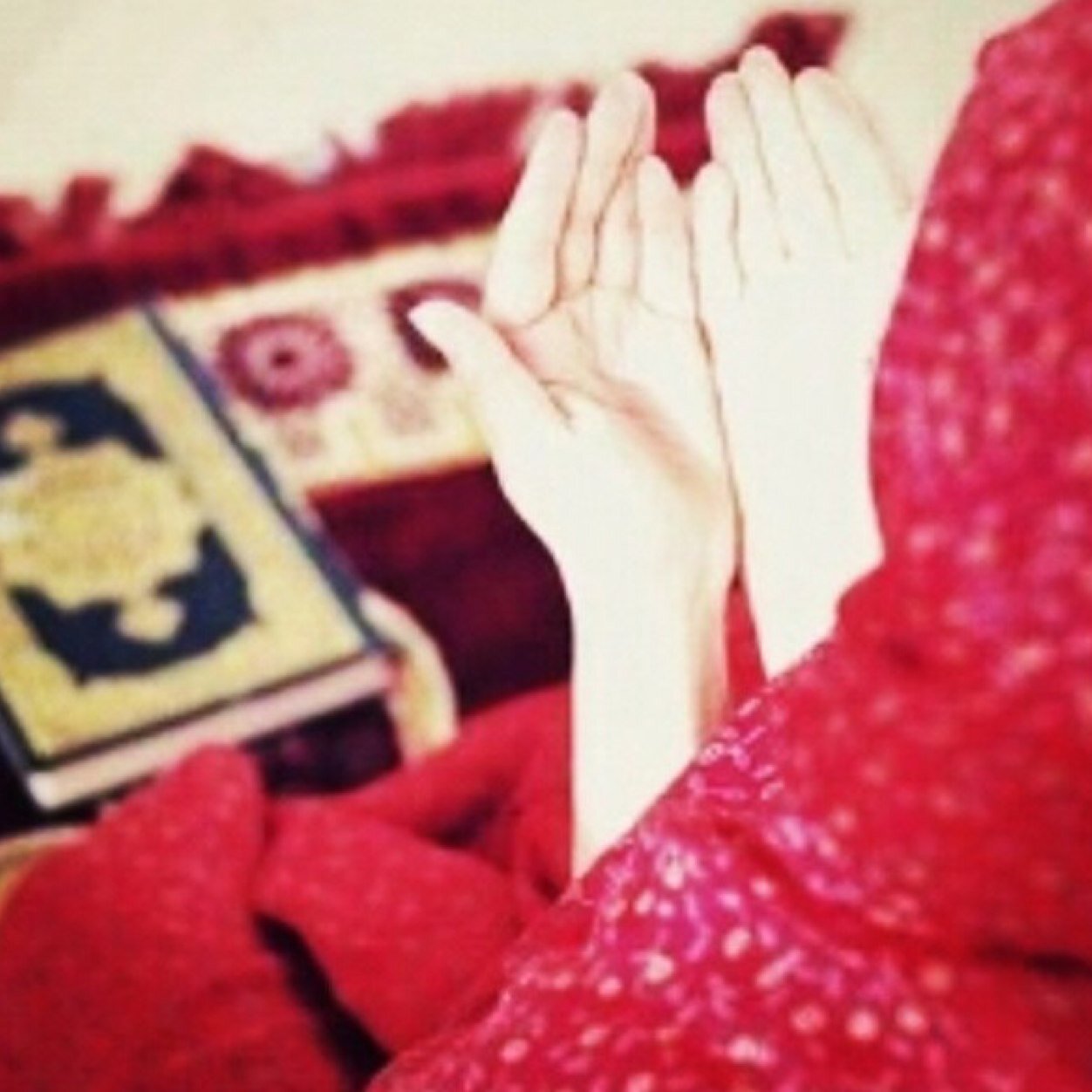 gharam_alshehhi's profile picture. صرتي غريبه تدرين ؟ صرتي بعيده مثلهم ما تحسين.