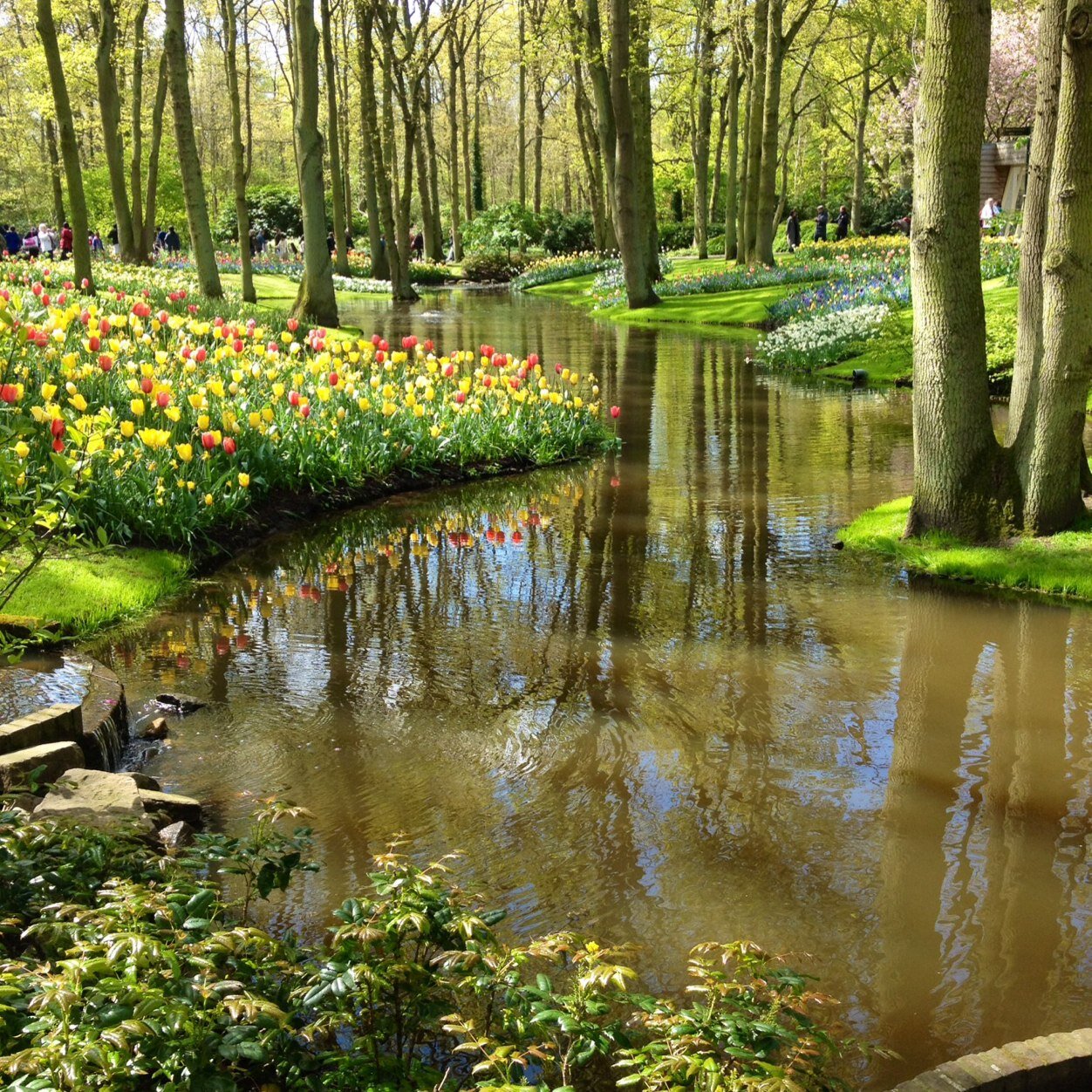 aincarnato1's profile picture. 