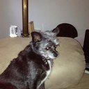 Slugger88's profile picture. 