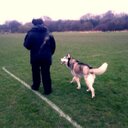 Natalie Glover - @sithappensdog - Twitter