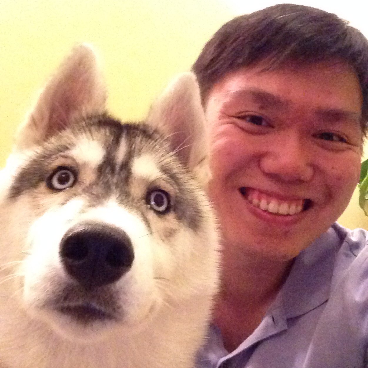 Founder and CEO at Cash Flow Portal, a modern real estate syndication software.