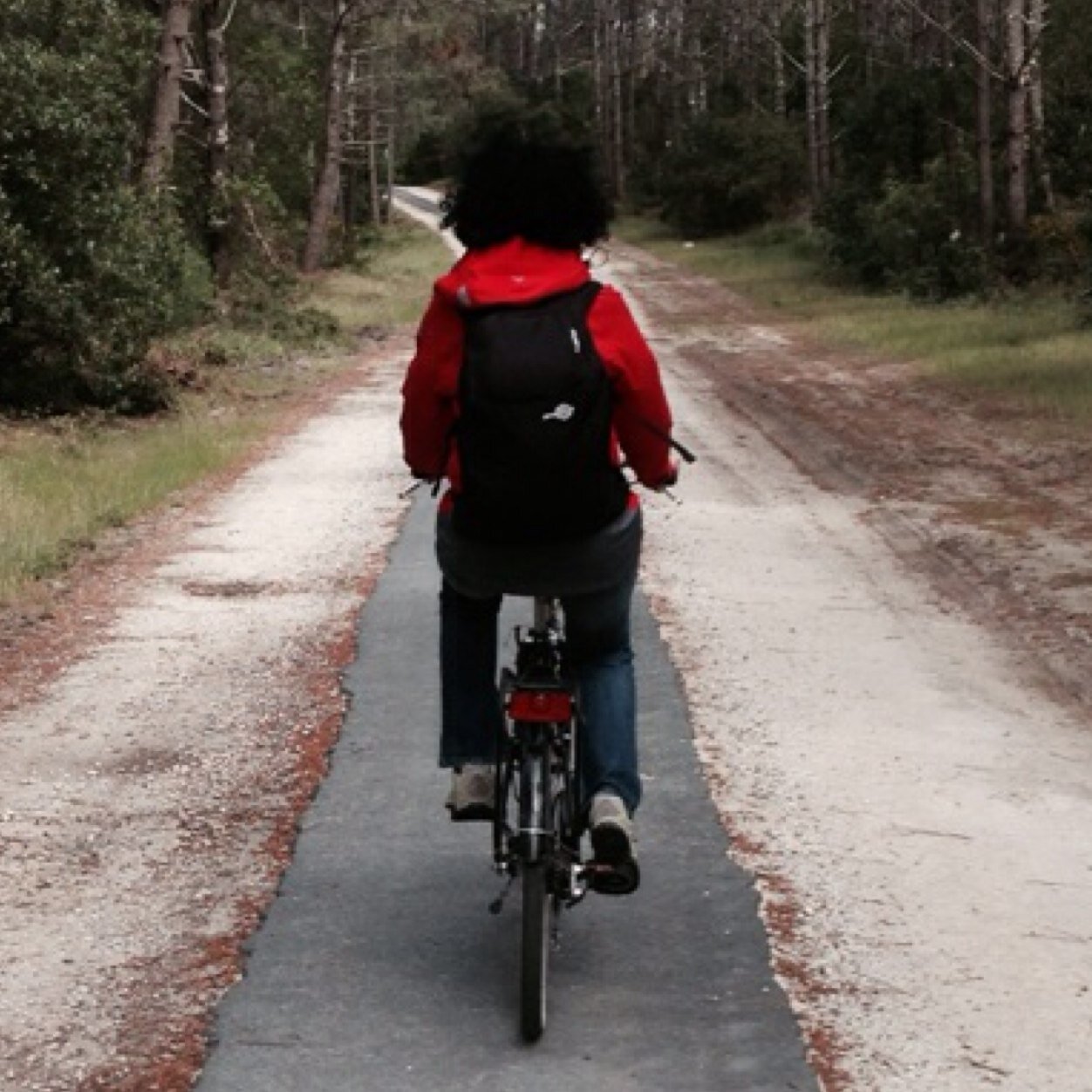 veroloizeau's profile picture. #Alpesmaritimes #vendee #compublique #collterr #decouvertes #curiosites