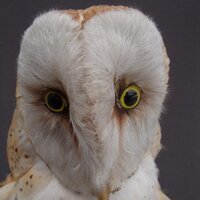 Arthur (@conticinofilia) 's Twitter Profile