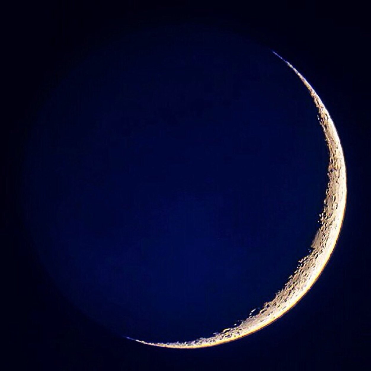 gawa4in555's profile picture. MANU FACTORY