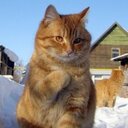 Phil Hoang - @PhilHoang94 - Twitter