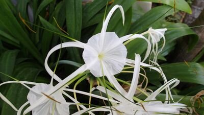 katathelxis's profile picture. 