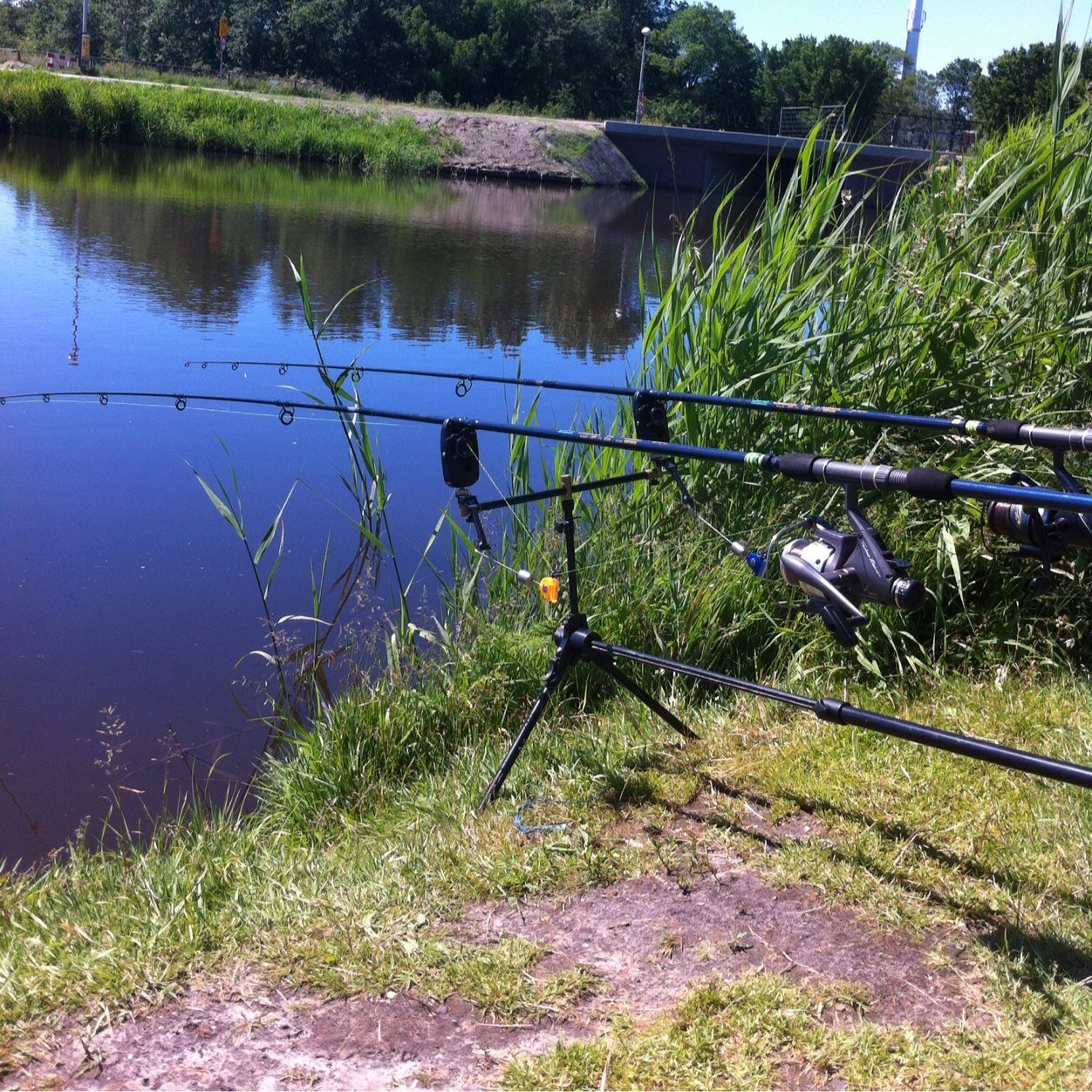 WesterweelMarco's profile picture. 