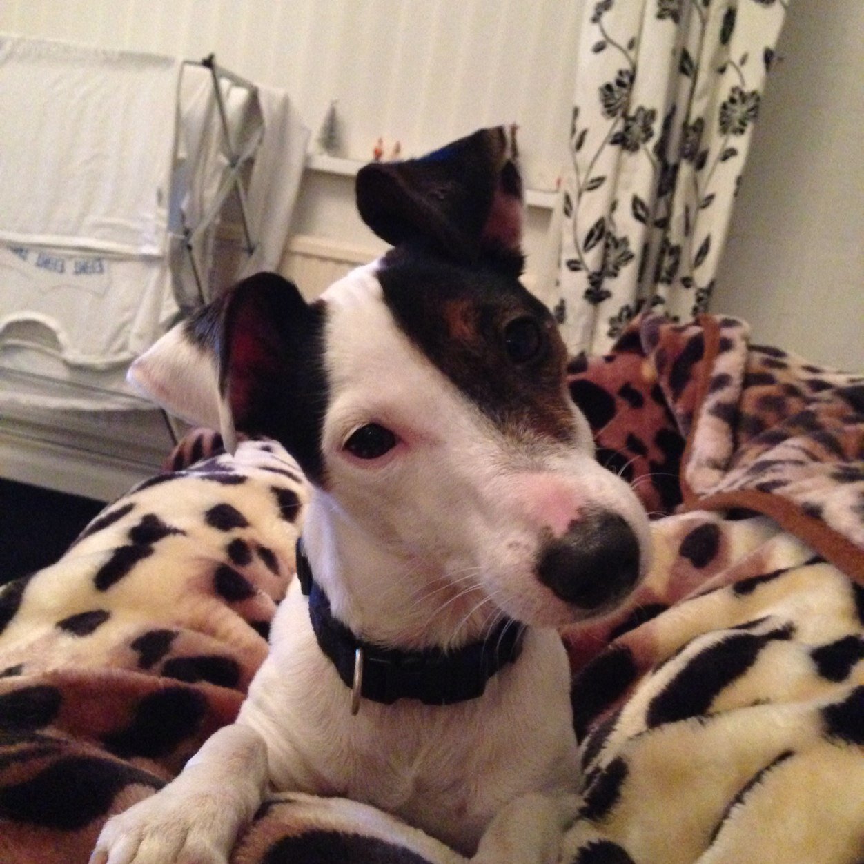 jacknewey12's profile picture. 