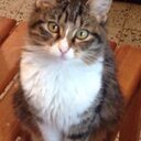 souadmetrah's profile picture. 